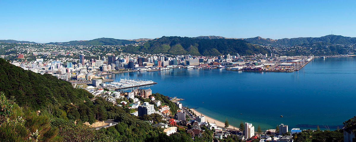 Monkey Bars Wellington