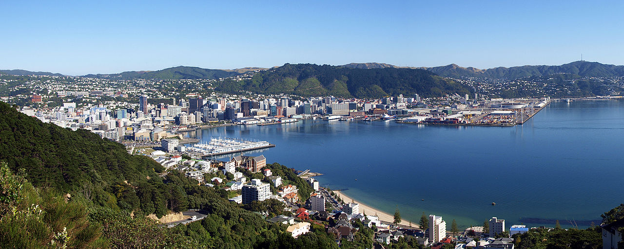 Monkey Bars Wellington